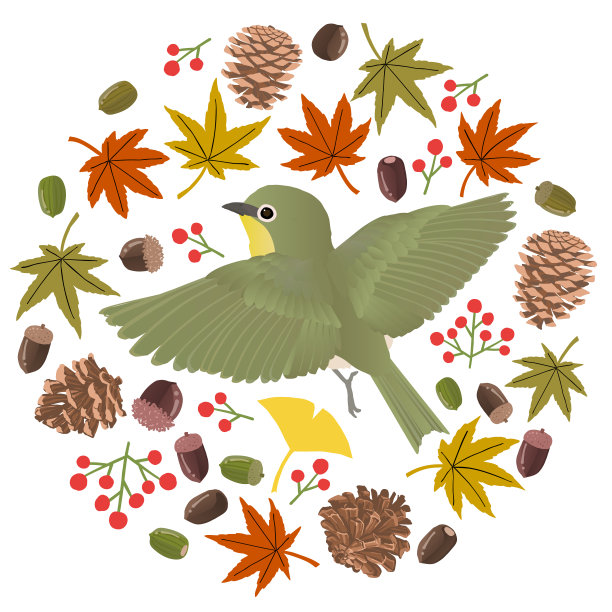 秋叶中的白眼鸟图片下载