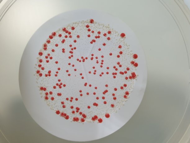 纯净水、注射用水微生物检测结果图片下载