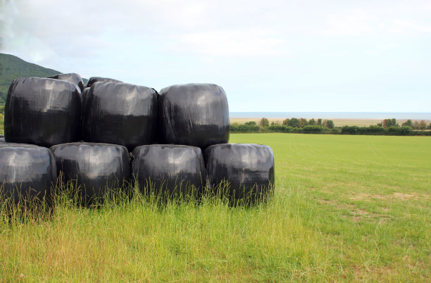 干草秸秆包袋有保护的塑料覆盖青贮在堆堆排，用于收获时的饲料。图片下载
