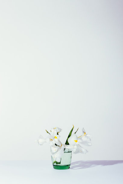 鸢尾花的垂直框架图片下载