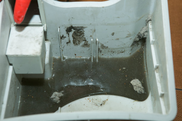 用带滤水器的真空吸尘器打扫房间的过程。一个容器用脏水清洗后。网格被移除。图片下载