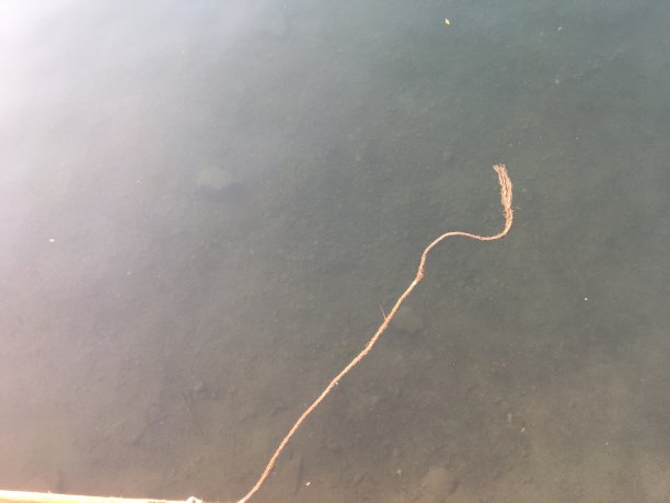 抽象的背景图片下载