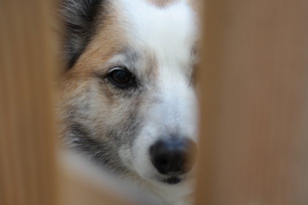 岛亨德图片下载