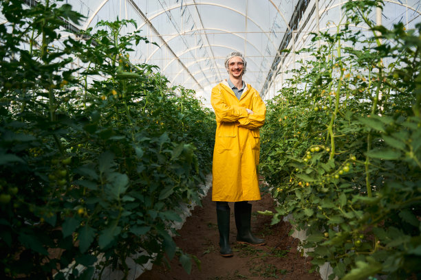 快乐的年轻人在温室里摆弄植物图片下载