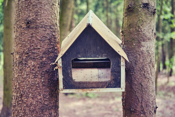 木制的鸟食器，固定在两棵树上，特写图片下载