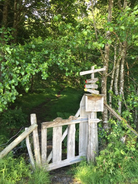 巨魔森林入口图片下载