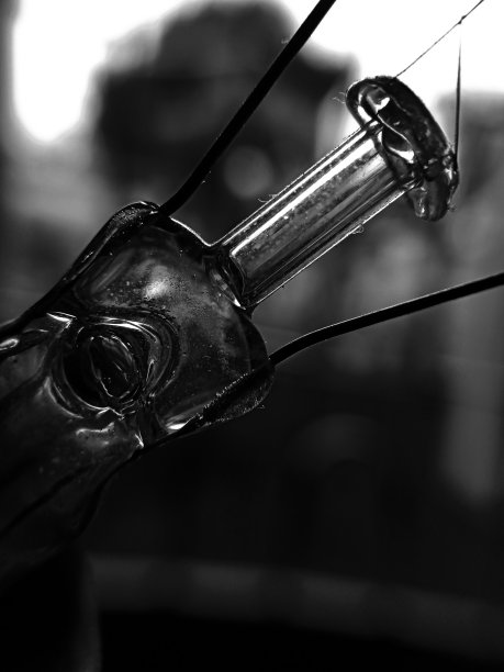 眼镜。图片下载