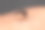 条纹蚊子吃人皮肤上的血。蚊子是登革热和疟疾的传播媒介。图片下载