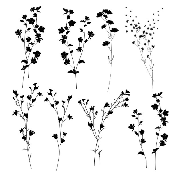 大设置剪影植物开花花卉元素。树枝，叶子，草本，花，野生植物。花园、草地、田野收集树叶、树叶。矢量插图孤立在白色背景图片下载