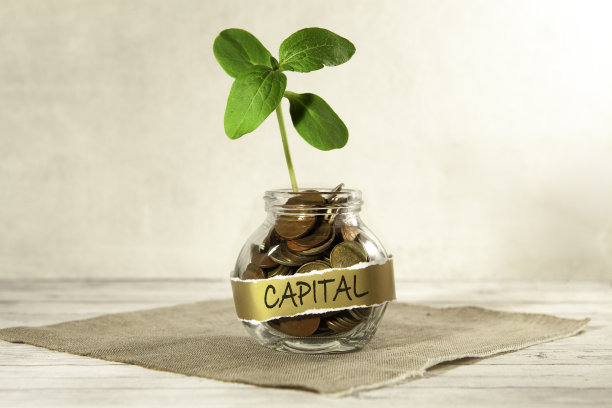 资本。一个装有硬币的玻璃罐子和一株植物，放在桌子上，在灰色的背景上。金融和投资的概念。图片下载