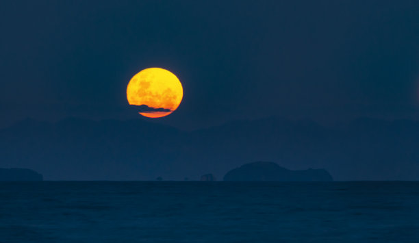 超级月亮正在奥克兰上空升起。在北岸米尔福德海滩拍摄的照片。图片下载