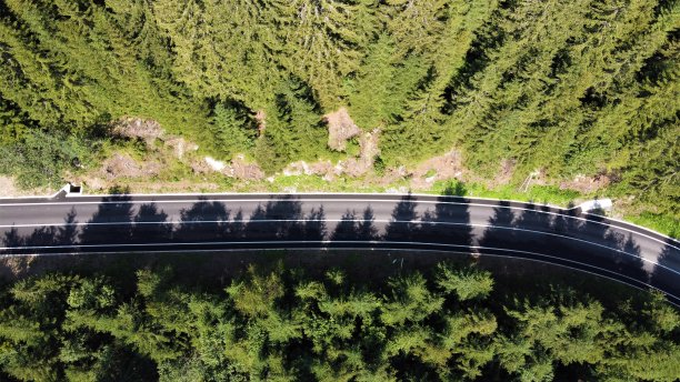 森林里的路。图片下载