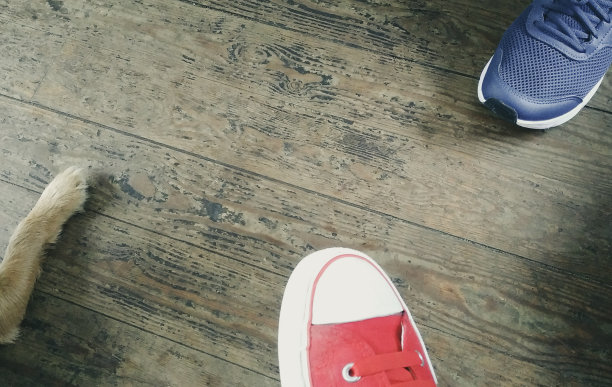 家人都很喜欢图片下载