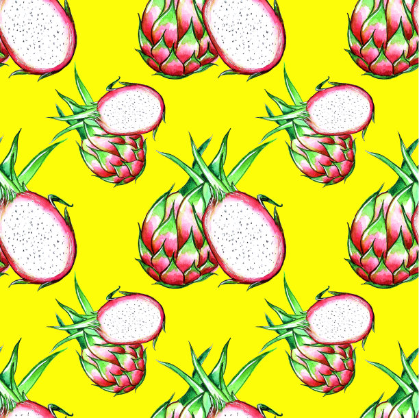 水彩画的火龙果。适用于包装纸、织物、印花、封面等。图片下载