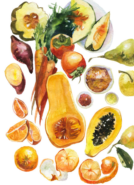 收集橙色水果和蔬菜插图水彩风格在白色的背景。健康食品。图片下载