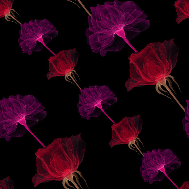 无缝透明的花图片下载