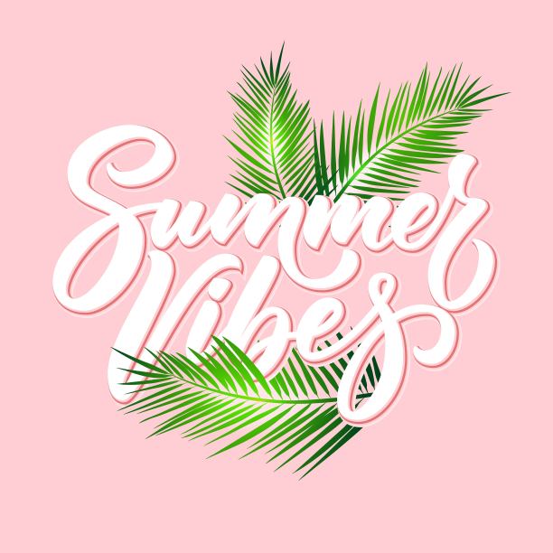 夏天的氛围海报，手写字母与热带棕榈叶。图片下载