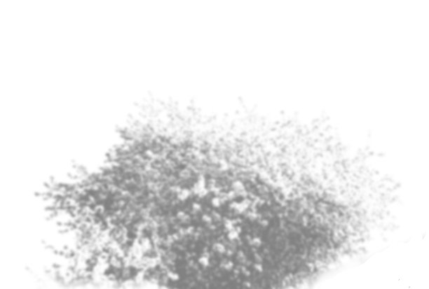 夏季背景的植物阴影。白色墙壁上的树叶影子。白色和黑色覆盖照片或模型图片下载