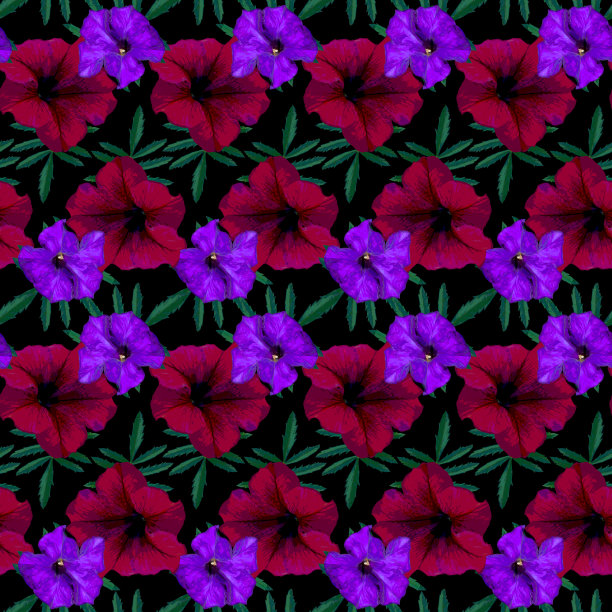 无缝图案与红色，紫色矮牵牛花和绿色的叶子在黑色的背景。五彩缤纷的花卉纹理。光栅插图。图片下载