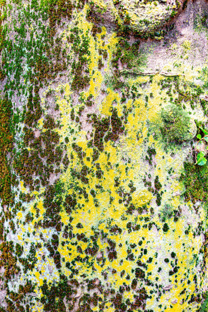 纹理02图片下载