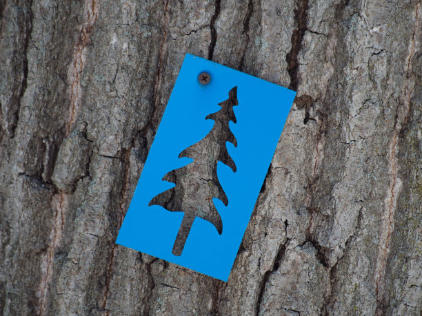 蓝色徒步路线标志的特写图片下载