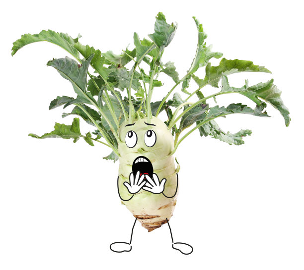 大头菜有太多的“头发”，滑稽图片下载