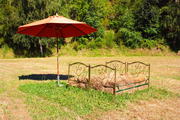 托斯卡纳的树林里，一把红伞下的空地上，铺满稻草的铁制床板图片下载