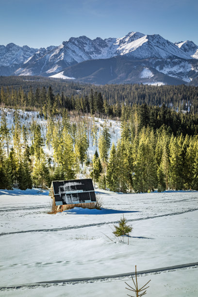 在塔特拉斯，雪山上的小木屋和绿色森林图片下载