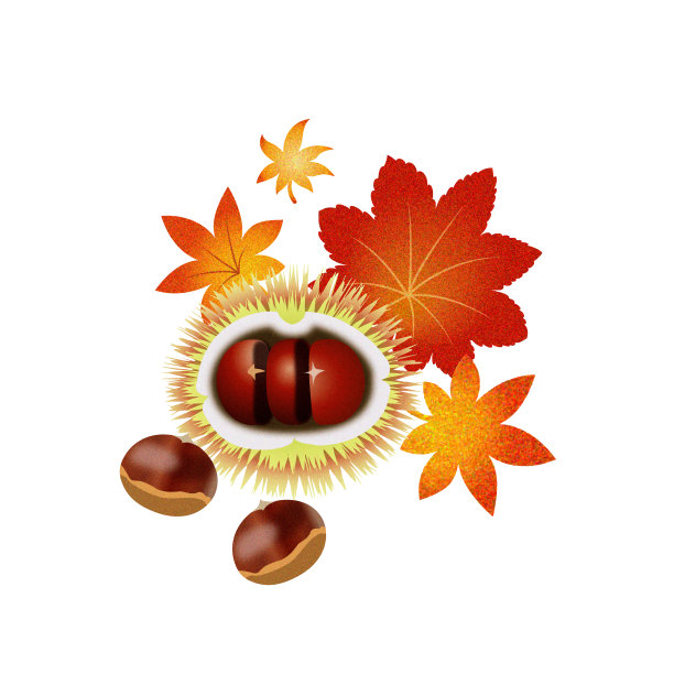 秋枫栗图片下载