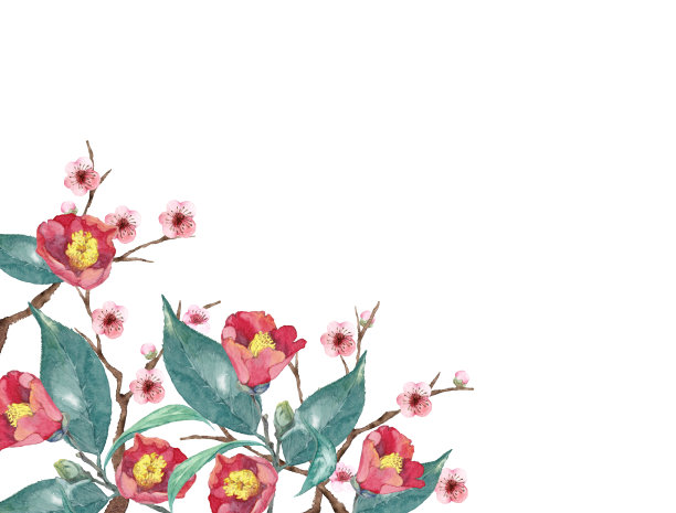 茶花和李树图片下载