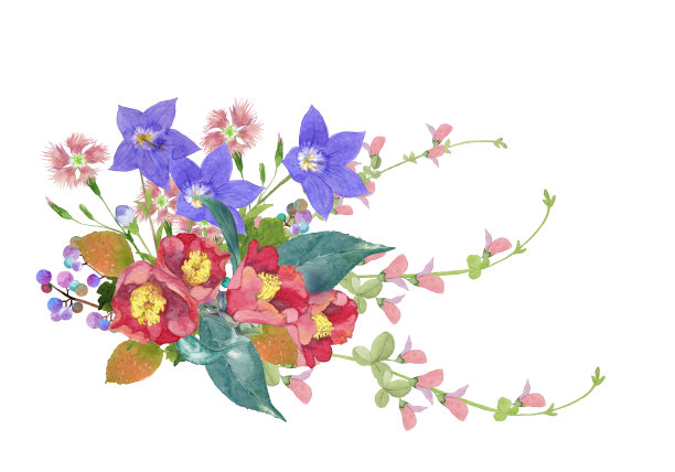 山茶花和风铃花花束图片下载