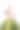 城堡塔楼在山上有树和路。素材图片