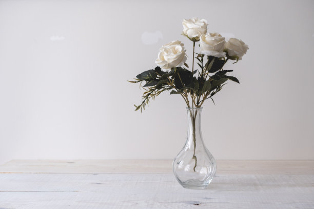 白色背景的花瓶上插着一束白玫瑰图片下载