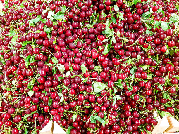 水果店的柜台上有许多樱桃。图片下载