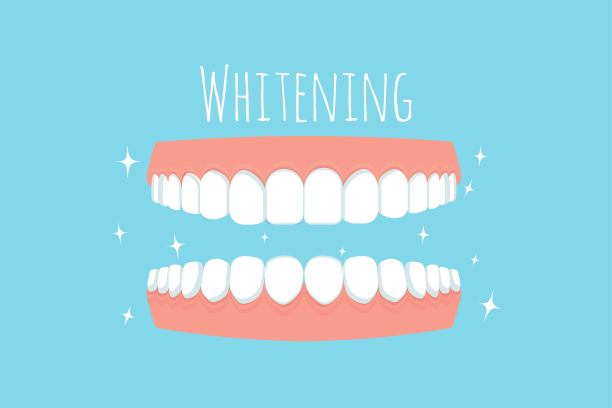 牙齿有牙龈，文字美白孤立在白色背景。口腔护理，口腔概念在平面风格。图片下载