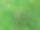 雨水涂层产生绿藻。这是一张公园的照片。图片下载