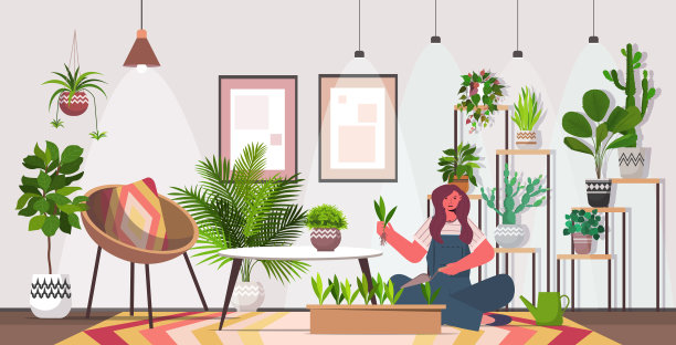 妇女种植盆栽家庭主妇照顾她的植物客厅内部图片下载