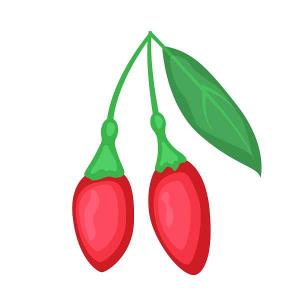 超级食物排毒枸杞枝。图片下载