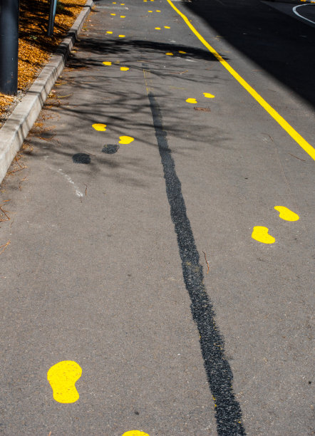 有黄色脚印的小径图片下载