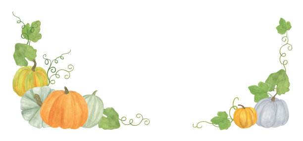秋天传统节日框架南瓜，藤蔓，绿色的叶子感恩节，收获秋天节日水彩插图贺卡模板，边界，横幅与复制空间，插花图片下载