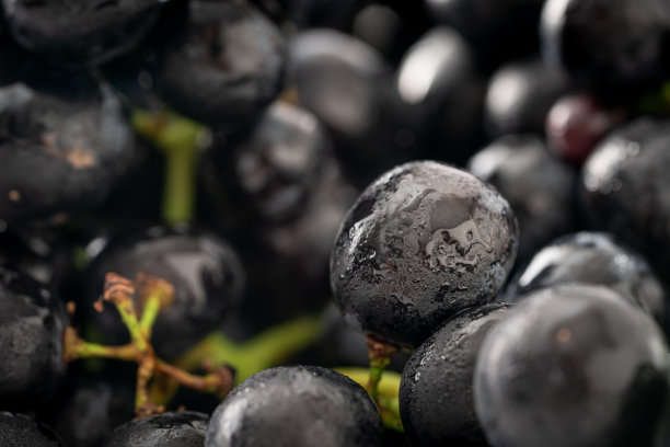 新鲜的暗红葡萄背景图片下载