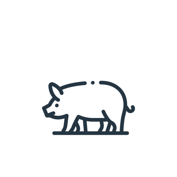 猪矢量图标隔离在白色背景上。轮廓，细线猪图标网站设计和移动，应用程序开发。细线猪轮廓图标矢量说明。图片下载