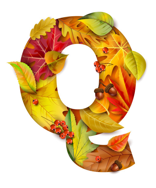 秋天风格化的字母与树叶。信问。图片下载