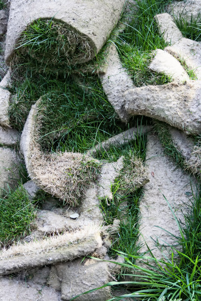 运动，足球，花园，等等。图片下载