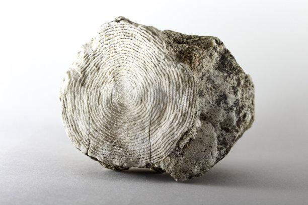 货币石图片下载