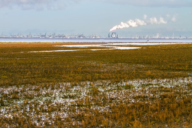 荷兰斯特伦丹的Kwaad Hoek海岸景观图片下载