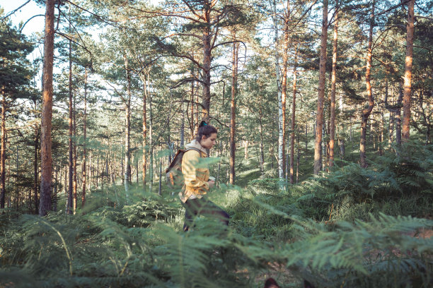 远离wifi图片下载