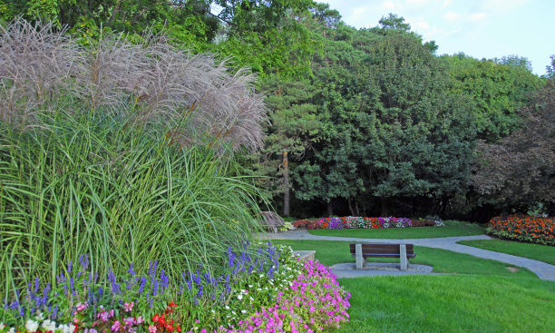 美丽的步行小径-加拿大布兰普顿公共公园图片下载