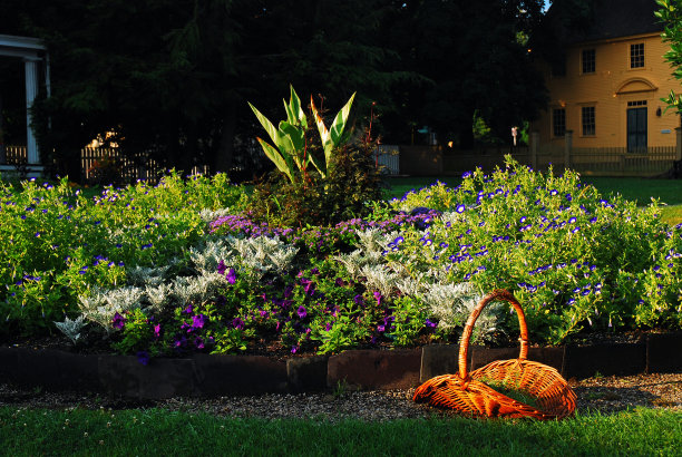 园丁篮子和花图片下载