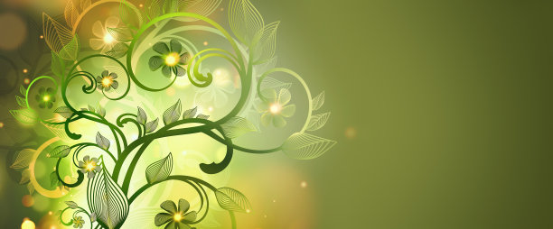 花卉装饰的背景图片下载